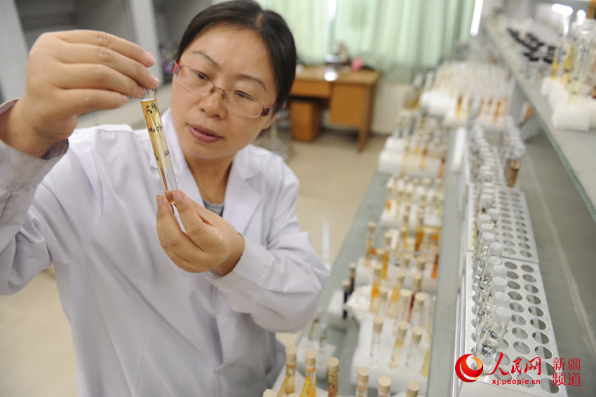  
ˣ
    ƈM򵜸څ֮@Ǆk҉ϒһҲϲgһԒͼwl_ͻrҪվڼw@߅ˈԶf
    2001ˏ½WоԺIxУν½WWWԺԺLĄ߅½@ЙC׃ɫϺ͟oC{ײϵđչ_оȡһϵЄԵоɹ
    fWWֱһNdȤϳЕrώ׃ħgһXúܺͮaһNҵdȤ    ˏĻW׃иܵ˟oFĊWҵdȤ׌оWˮI׷KɞһŮƌW
