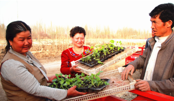    575|ֹI|ЧĿ41СｨO20BţĿ1ؚͥԺ졭