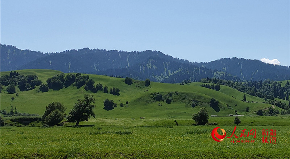 “人民紅號-時光列車”第四站：“綠色海洋”那拉提