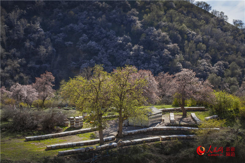 �½�������ٝ�ӻ�ٝ������W���㿴�½�����9��