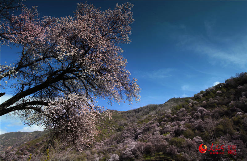 �½�������ٝ�ӻ�ٝ������W���㿴�½�����5��