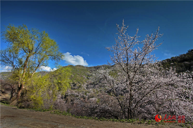 �½�������ٝ�ӻ�ٝ������W���㿴�½�����4��