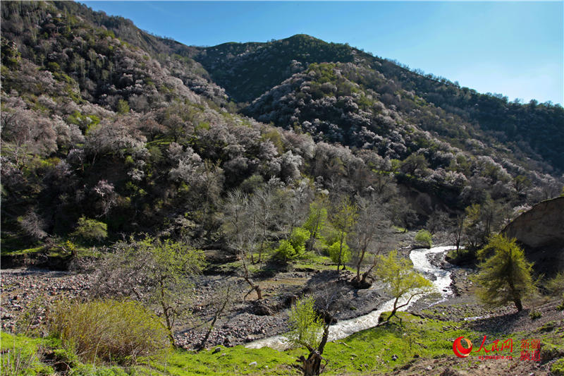 �½�������ٝ�ӻ�ٝ������W���㿴�½�����3��