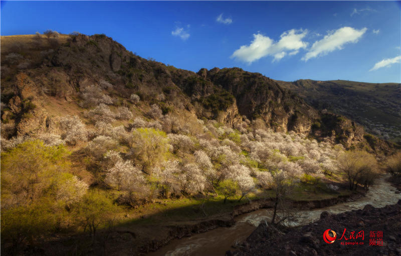 �½�������ٝ�ӻ�ٝ������W���㿴�½�����7��