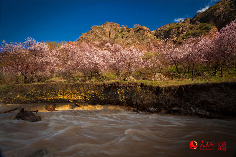 �½�������ٝ�ӻ�ٝ������W���㿴�½�����2��