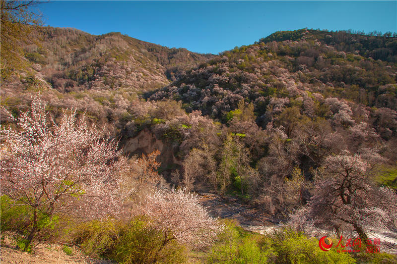 �½�������ٝ�ӻ�ٝ������W���㿴�½�����8��