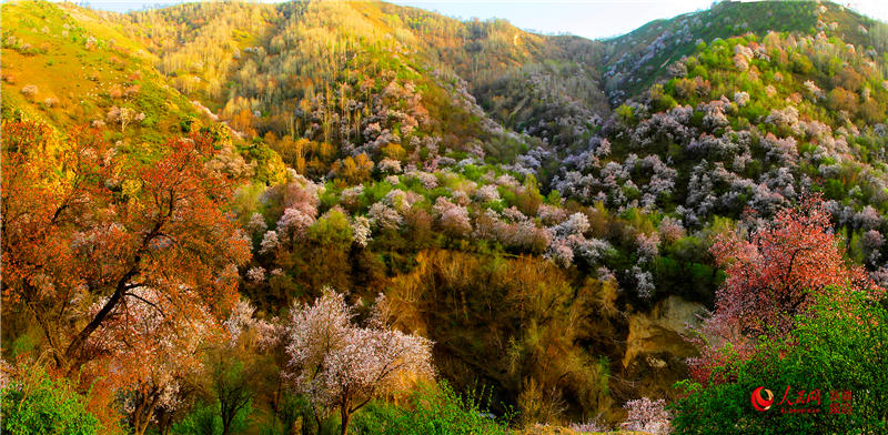 �½�������ٝ�ӻ�ٝ������W���㿴�½�����6��