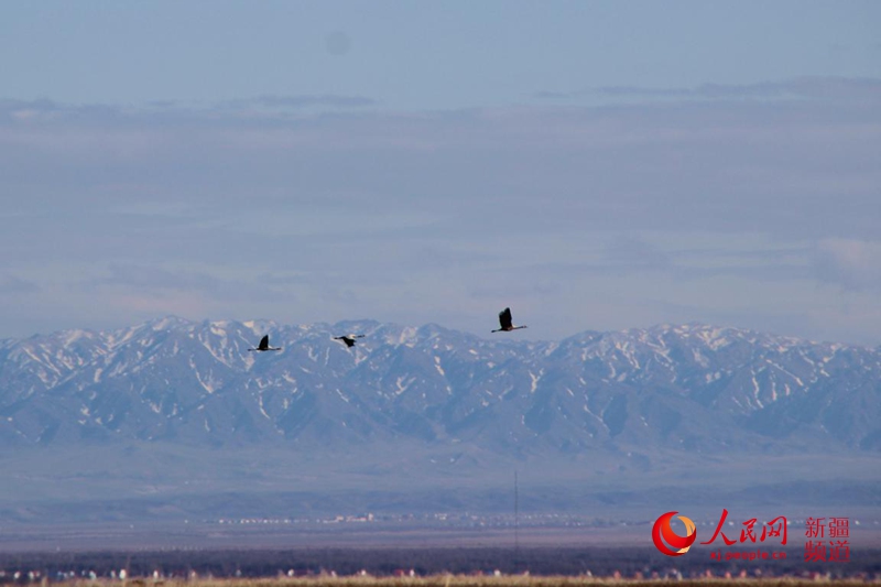 ���B�������˹�_��ԭ�������� �z