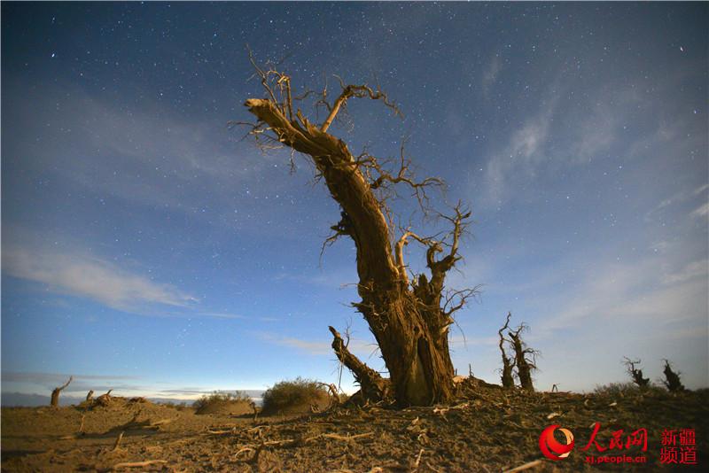 �½�����ľ��أ��ǿ��µ�ǧ��������W���㿴�½�����2��