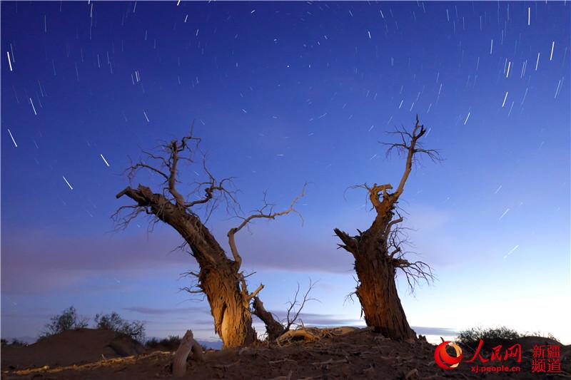 �½�����ľ��أ��ǿ��µ�ǧ��������W���㿴�½�����7��