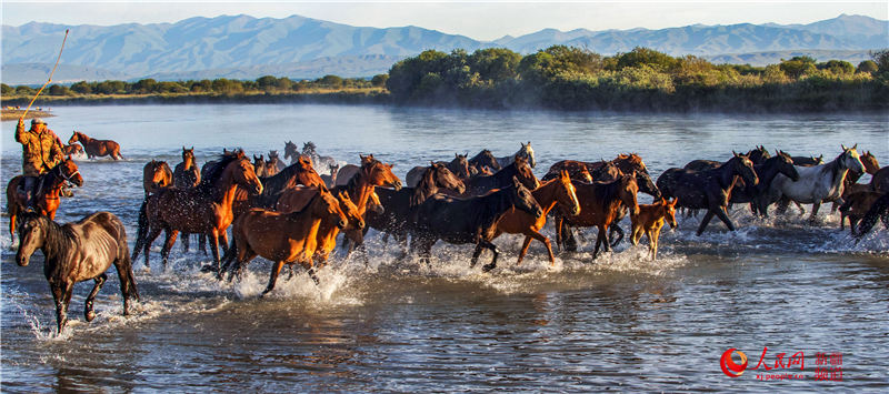 �½����K��ԭ�����Rԡ�ӣ�����W���㿴�½���