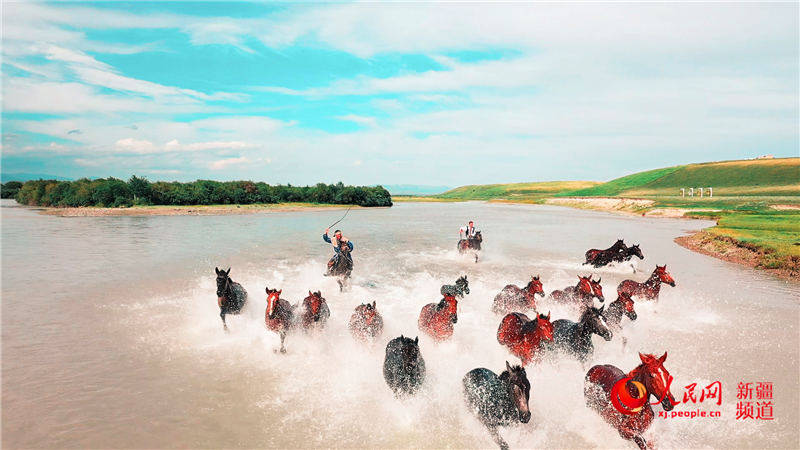 �½����K�h��ع��@�����ɾ�������W���㿴�½���