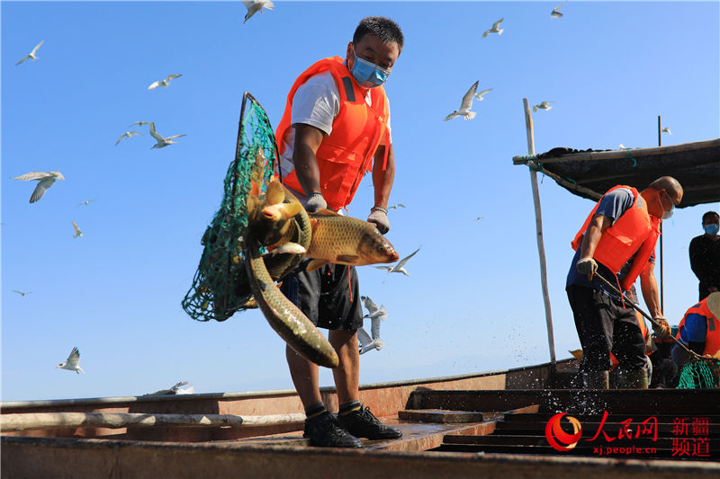 �½���˹�v�����˚g�~�S���~æ������W���㿴�½���