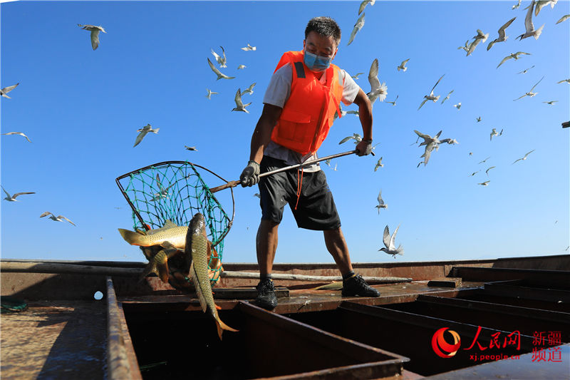 �½���˹�v�����˚g�~�S���~æ������W���㿴�½�����7��