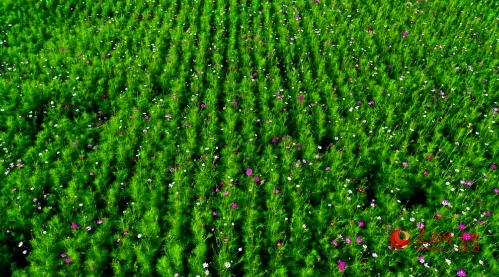 �����̣���ڻ��_ �������գ�����W���㿴�½�����3��