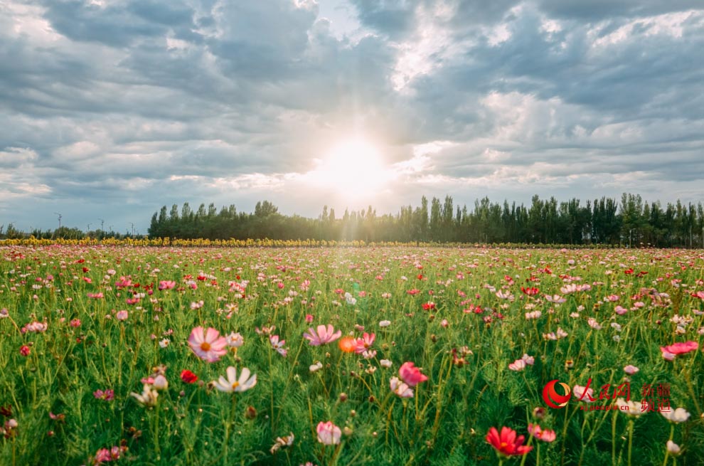 �����̣���ڻ��_ �������գ�����W���㿴�½���