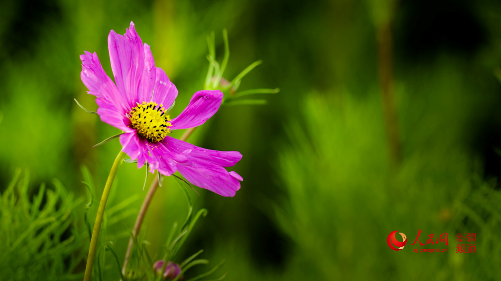 �����̣���ڻ��_ �������գ�����W���㿴�½�����7��