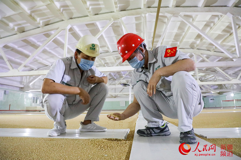 ЃZֱَ޹˾xС¼ z