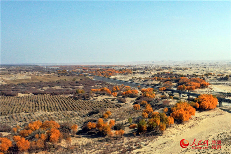 ��������c�����F·��������(����W���㿴�½�)��3��