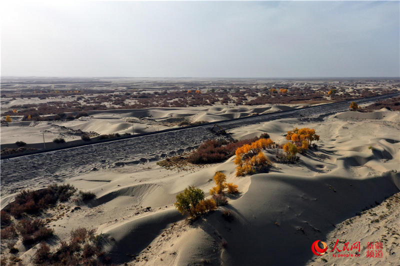 ��������c�����F·��������(����W���㿴�½�)��10��