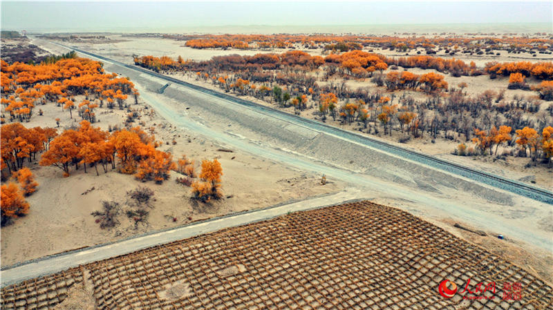 ��������c�����F·��������(����W���㿴�½�)��2��