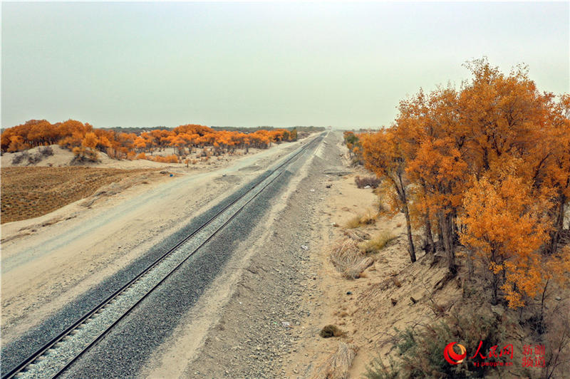 ��������c�����F·��������(����W���㿴�½�)��4��