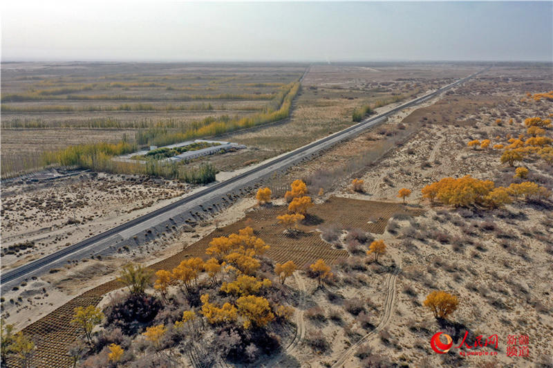 ��������c�����F·��������(����W���㿴�½�)��11��