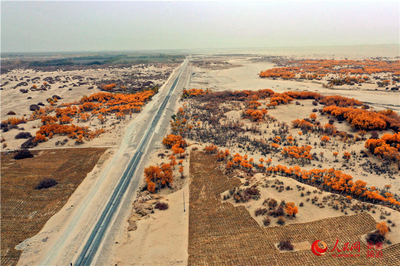 ��������c�����F·��������(����W���㿴�½�)��5��