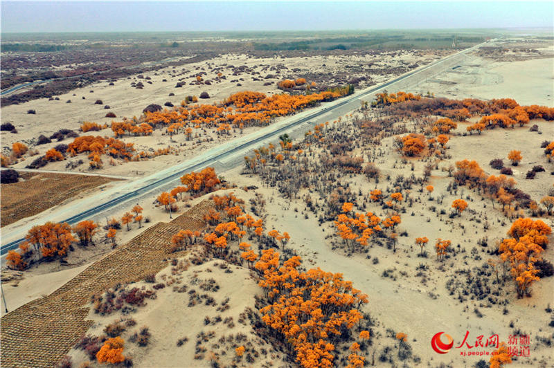 ��������c�����F·��������(����W���㿴�½�)