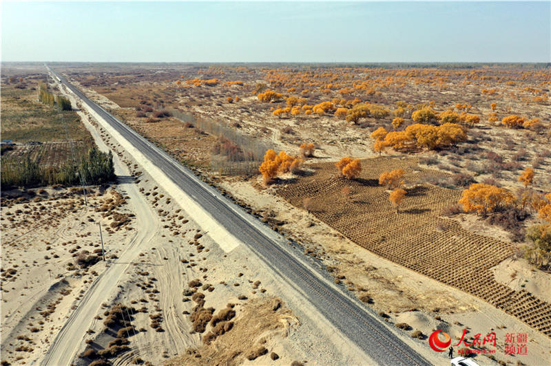 ��������c�����F·��������(����W���㿴�½�)��12��