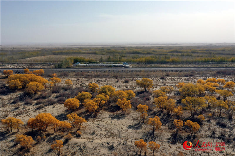 ��������c�����F·��������(����W���㿴�½�)��14��