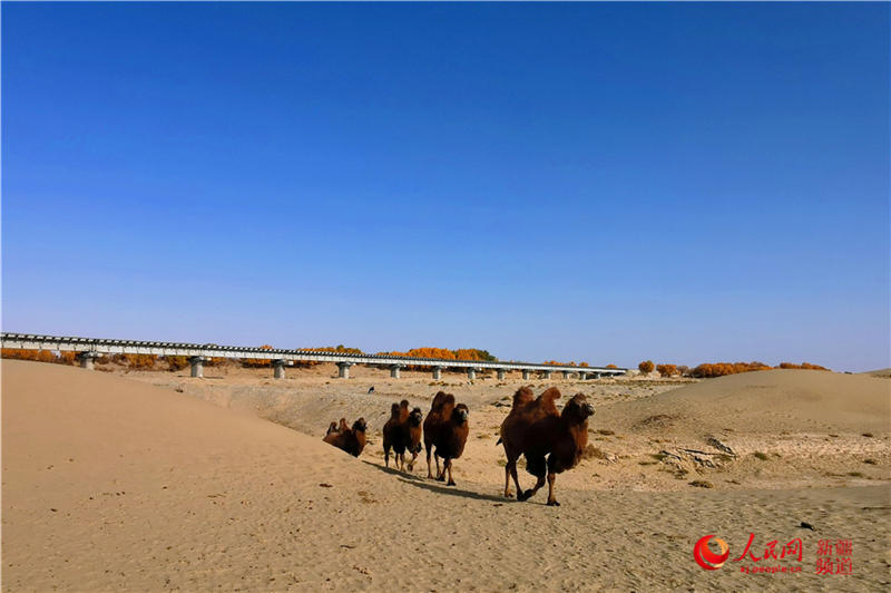 ��������c�����F·��������(����W���㿴�½�)��7��