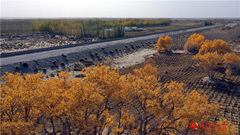 ��������c�����F·��������(����W���㿴�½�)��8��