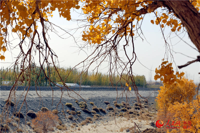 ��������c�����F·��������(����W���㿴�½�)��15��