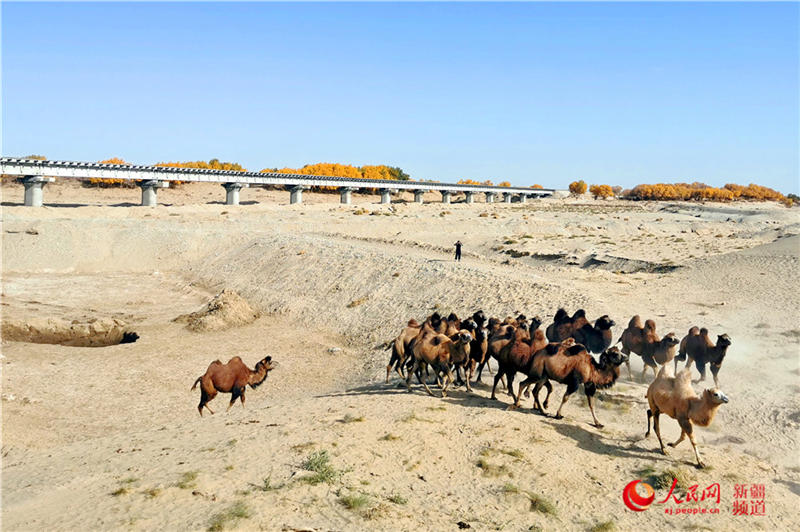 ��������c�����F·��������(����W���㿴�½�)��9��