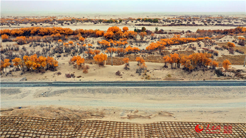 ��������c�����F·��������(����W���㿴�½�)��16��