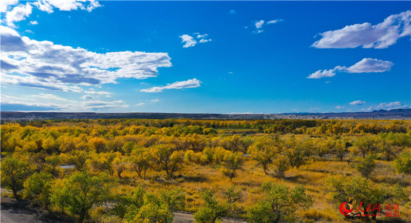 �������f�������ֽ���r���Q��ʢ�b��(����W���㿴�½�)��2��