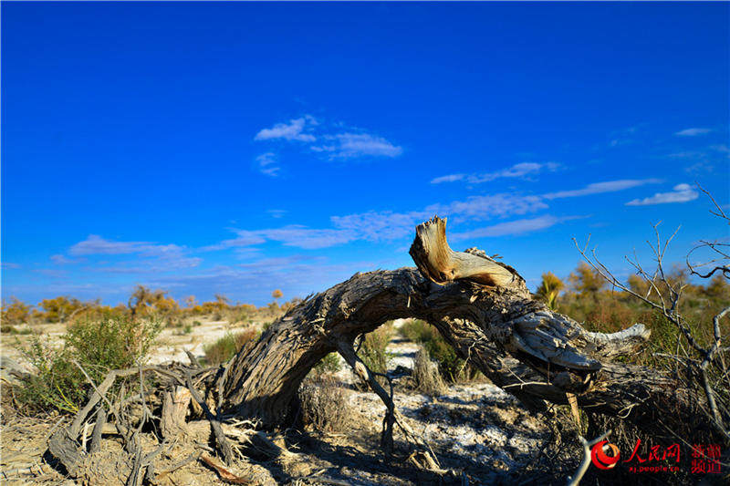 �������f�������ֽ���r���Q��ʢ�b��(����W���㿴�½�)��3��