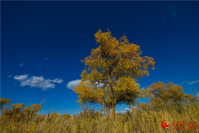 �������f�������ֽ���r���Q��ʢ�b��(����W���㿴�½�)��12��