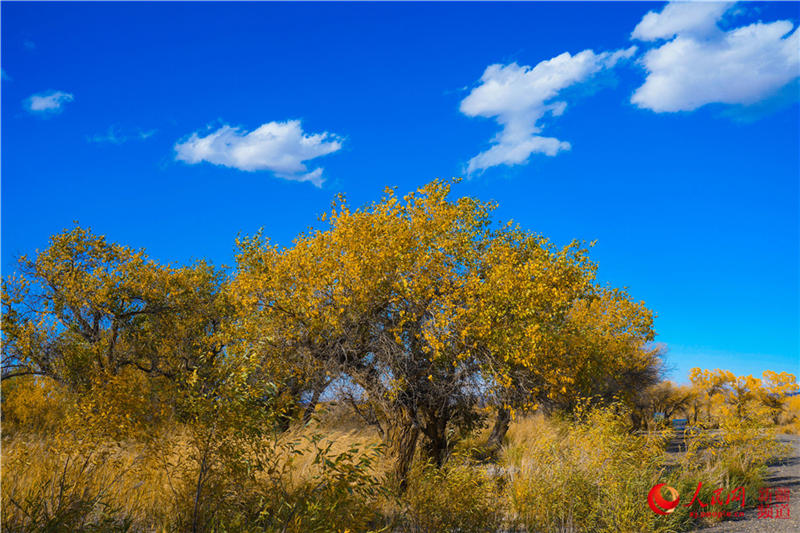 �������f�������ֽ���r���Q��ʢ�b��(����W���㿴�½�)��5��