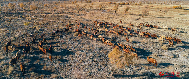 �������f�������ֽ���r���Q��ʢ�b��(����W���㿴�½�)��6��