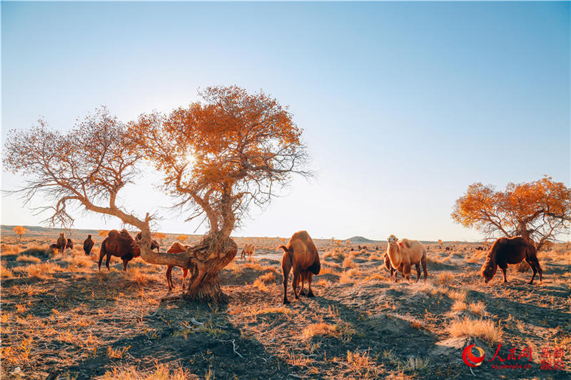 �������f�������ֽ���r���Q��ʢ�b��(����W���㿴�½�)��7��