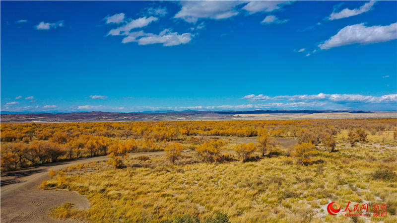 �������f�������ֽ���r���Q��ʢ�b��(����W���㿴�½�)��16��