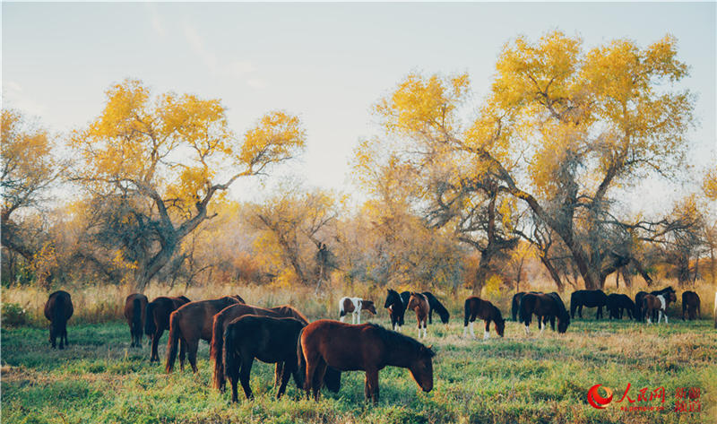 �������f�������ֽ���r���Q��ʢ�b��(����W���㿴�½�)��9��