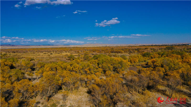 �������f�������ֽ���r���Q��ʢ�b��(����W���㿴�½�)��18��