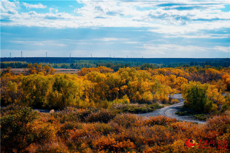 �������f�������ֽ���r���Q��ʢ�b��(����W���㿴�½�)��20��