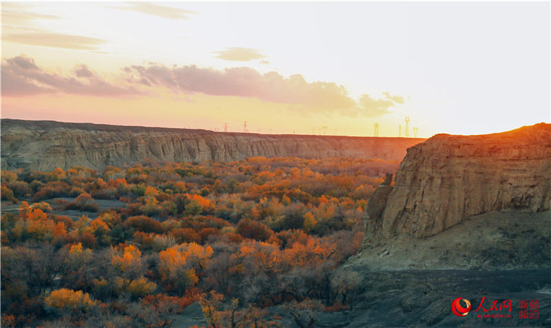 �������f�������ֽ���r���Q��ʢ�b��(����W���㿴�½�)��10��