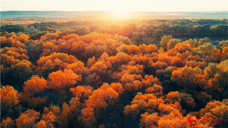 �������f�������ֽ���r���Q��ʢ�b��(����W���㿴�½�)