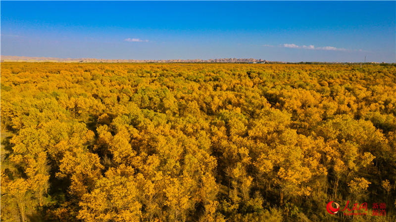 �������f�������ֽ���r���Q��ʢ�b��(����W���㿴�½�)��21��