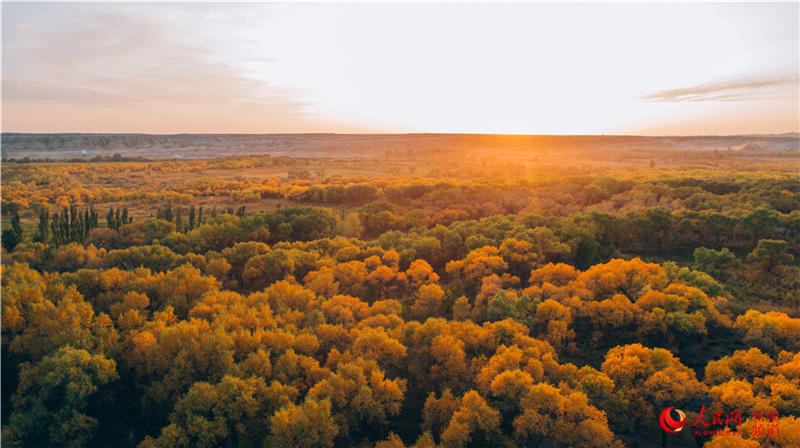 �������f�������ֽ���r���Q��ʢ�b��(����W���㿴�½�)��22��